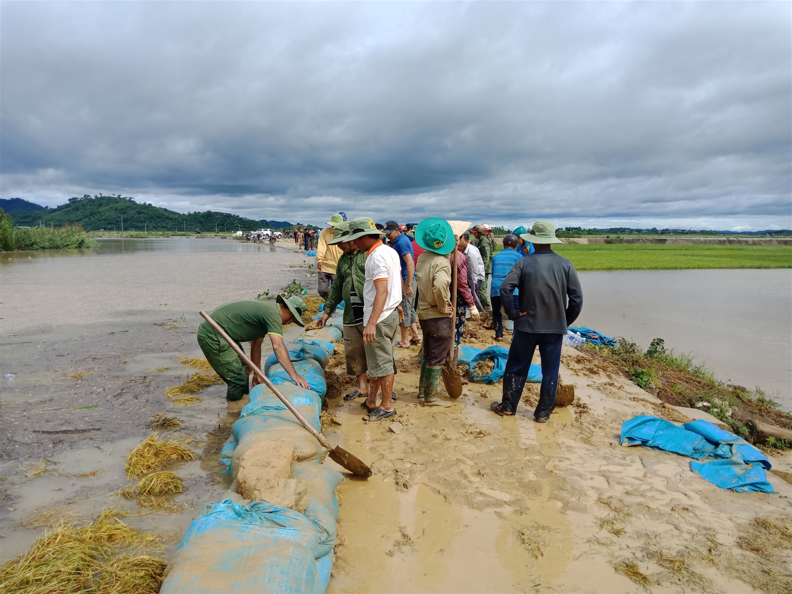 Tình thiệt hại do mưa lớn gây ngập lụt trên địa bàn huyện Krông Ana